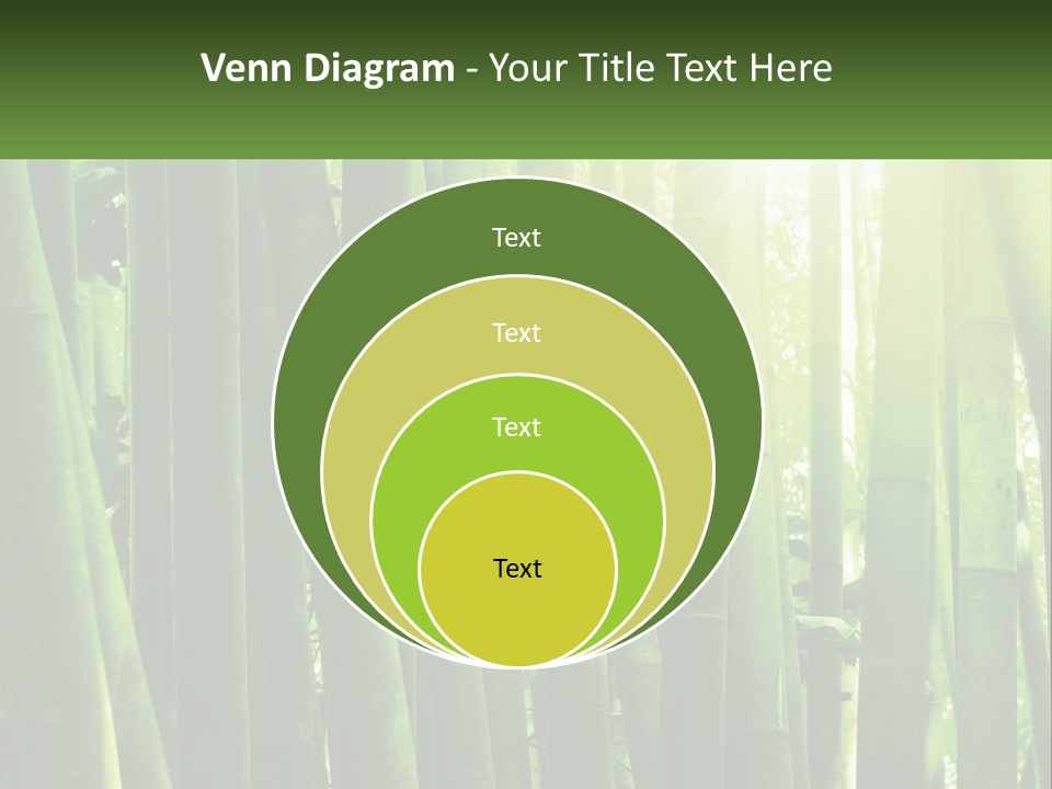 Shui Shoot Serene PowerPoint Template