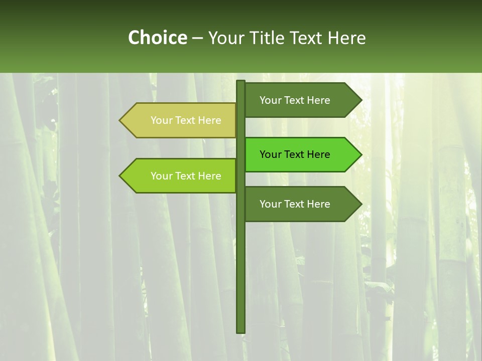 Shui Shoot Serene PowerPoint Template