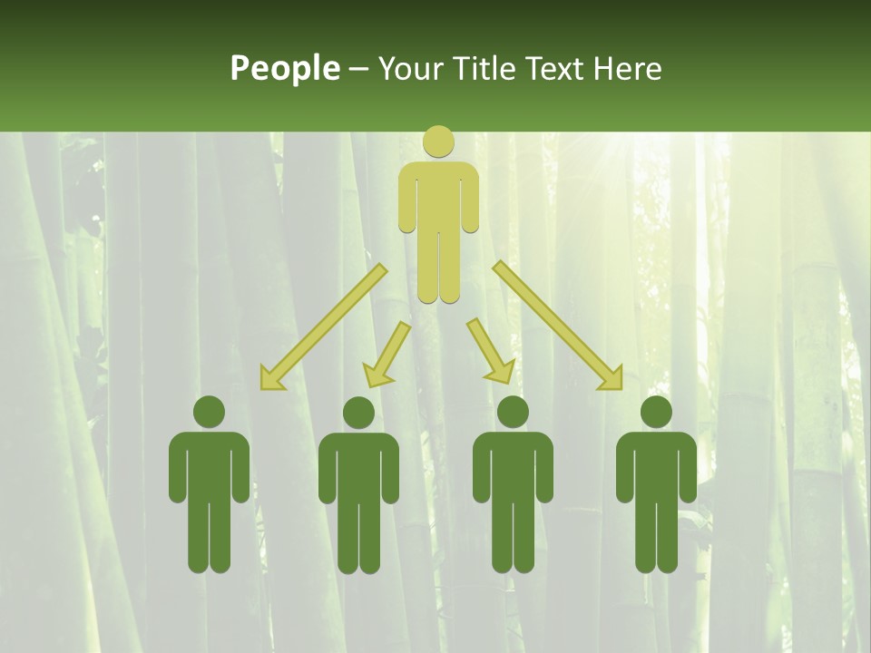 Shui Shoot Serene PowerPoint Template