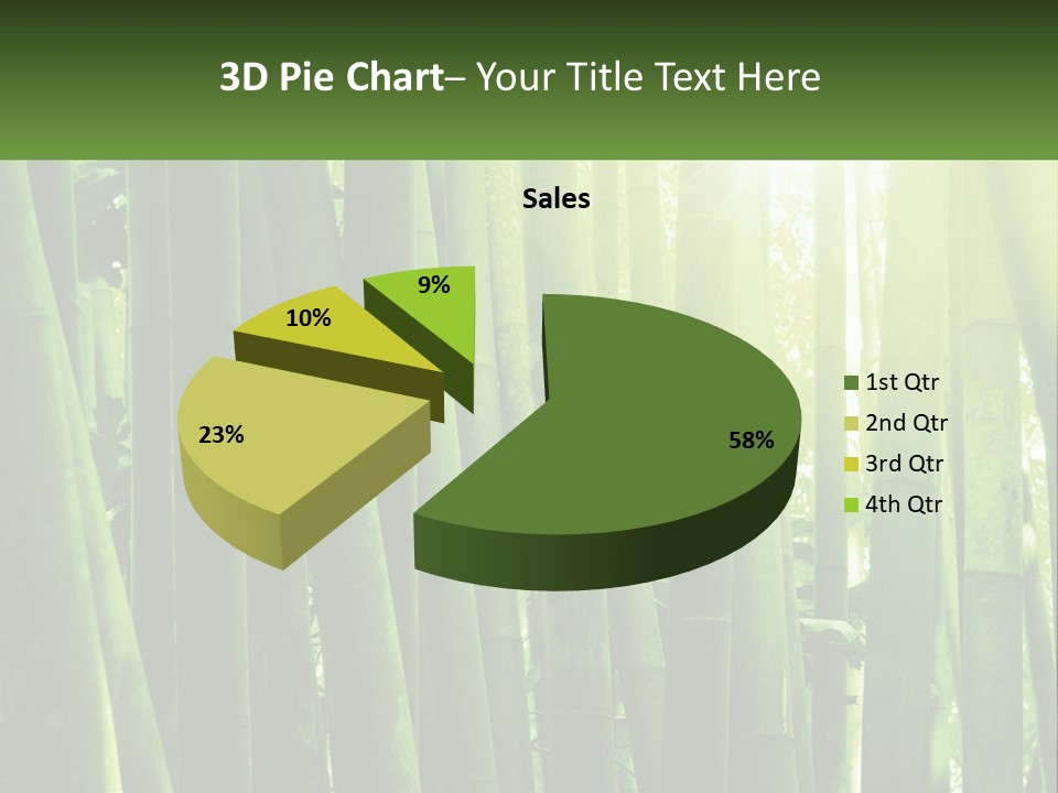 Shui Shoot Serene PowerPoint Template