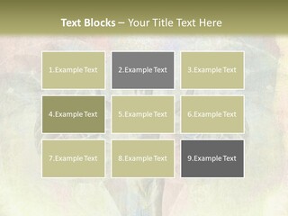 Progress Win Morals PowerPoint Template