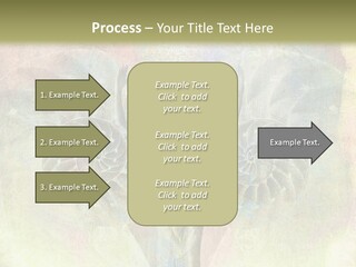 Progress Win Morals PowerPoint Template