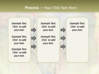 Progress Win Morals PowerPoint Template