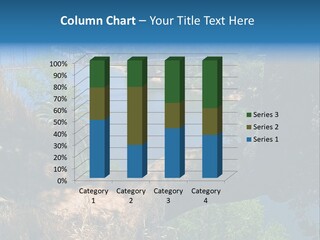 Sky Usa Romantic PowerPoint Template