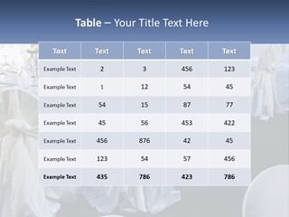 Aisle Backs Catering PowerPoint Template