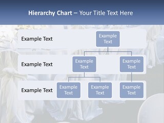 Aisle Backs Catering PowerPoint Template