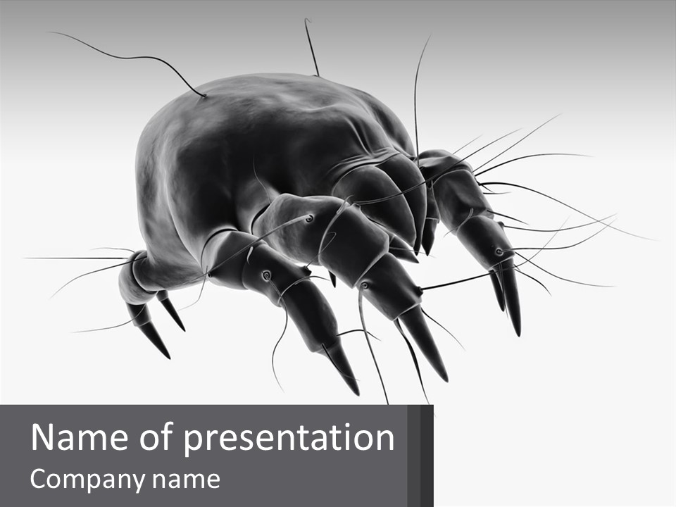 Mite Acarian Hygiene PowerPoint Template