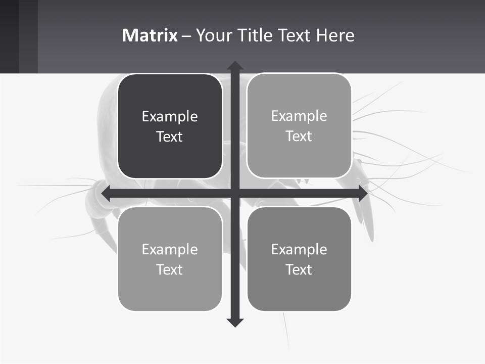 Mite Acarian Hygiene PowerPoint Template