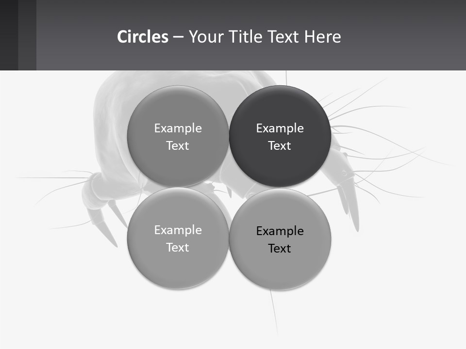 Mite Acarian Hygiene PowerPoint Template