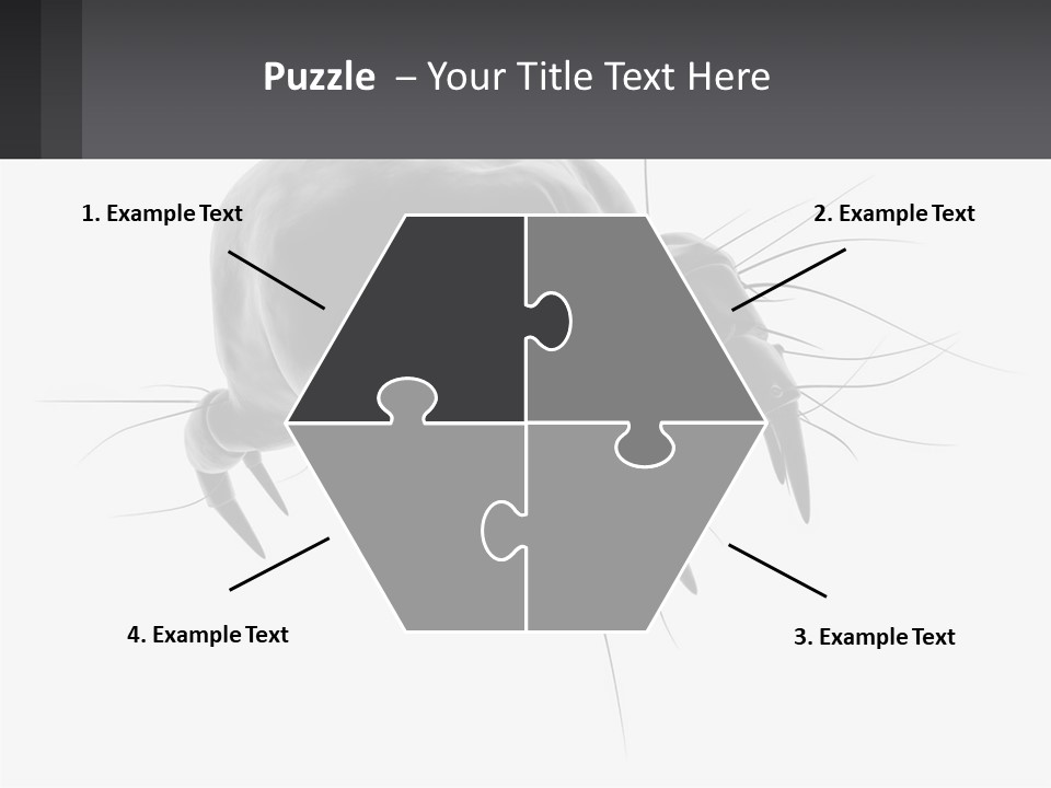 Mite Acarian Hygiene PowerPoint Template