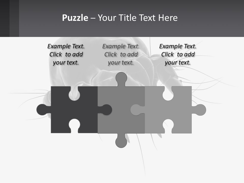 Mite Acarian Hygiene PowerPoint Template