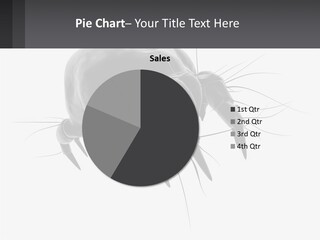 Mite Acarian Hygiene PowerPoint Template