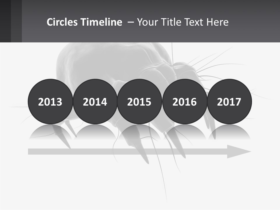 Mite Acarian Hygiene PowerPoint Template