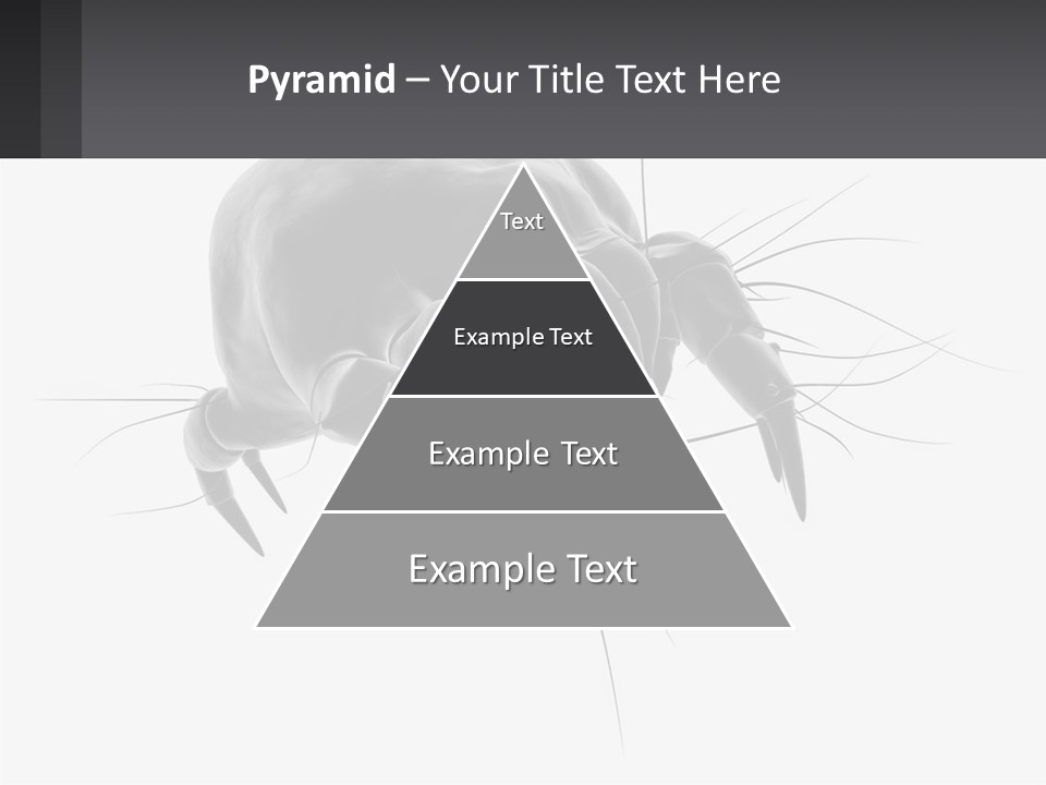 Mite Acarian Hygiene PowerPoint Template