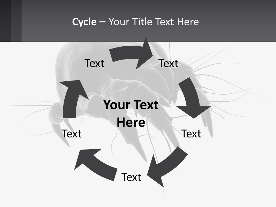 Mite Acarian Hygiene PowerPoint Template