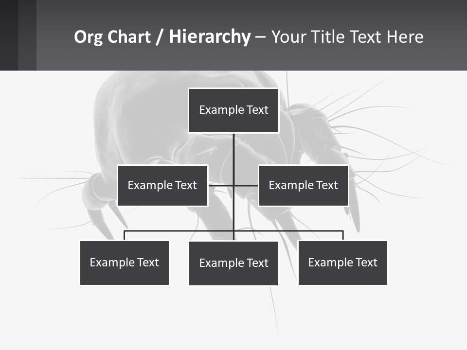 Mite Acarian Hygiene PowerPoint Template