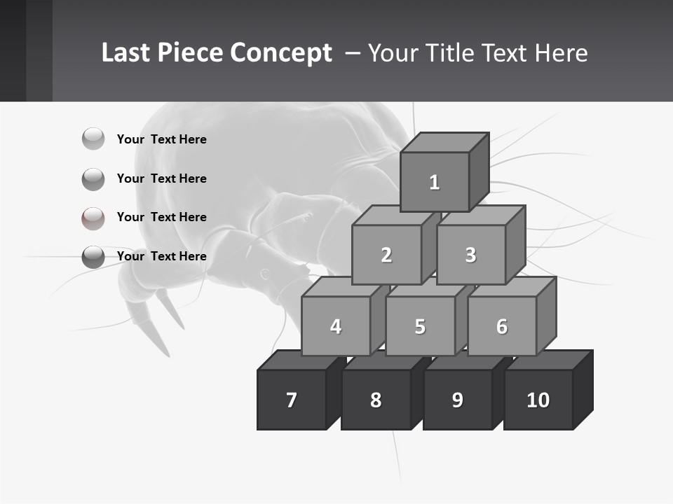 Mite Acarian Hygiene PowerPoint Template