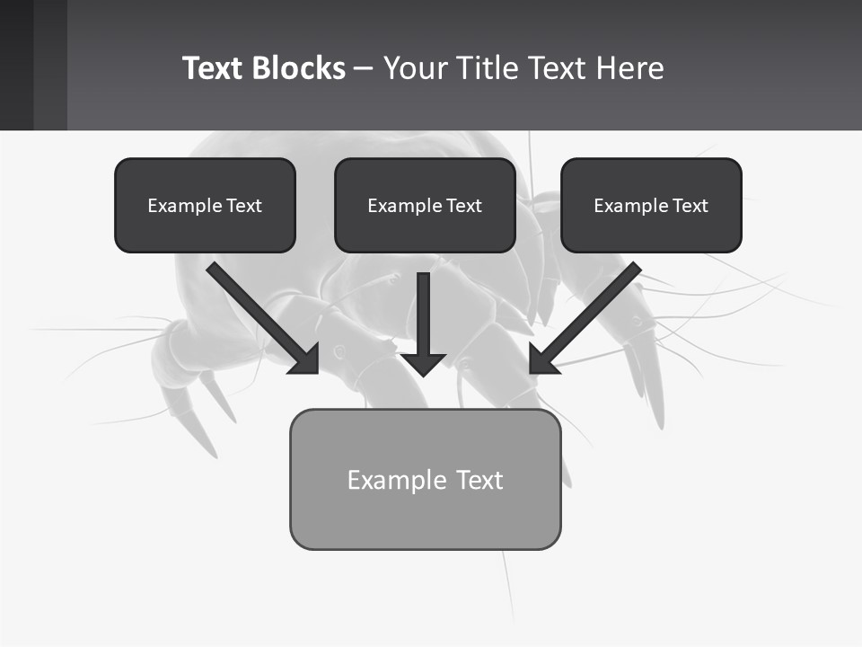 Mite Acarian Hygiene PowerPoint Template