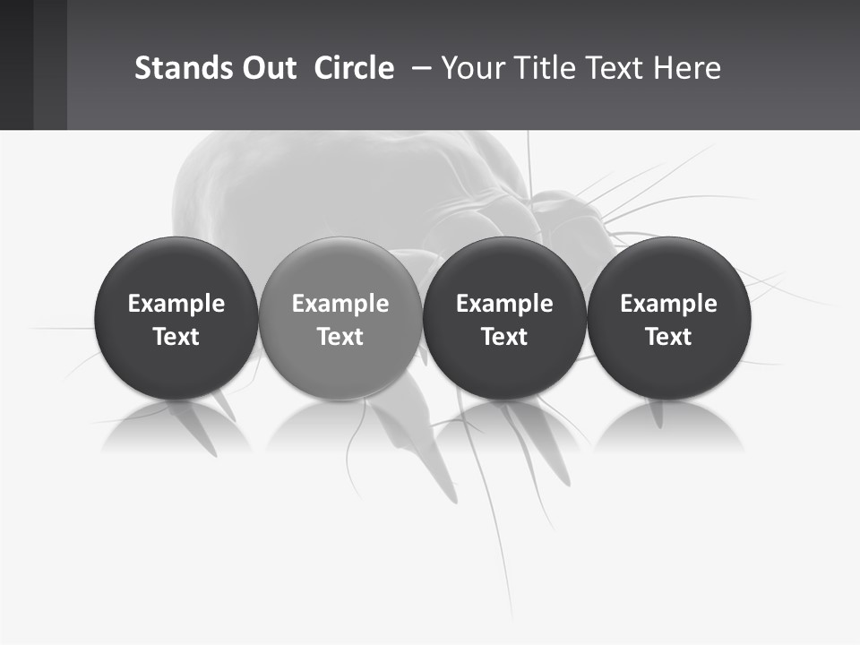 Mite Acarian Hygiene PowerPoint Template