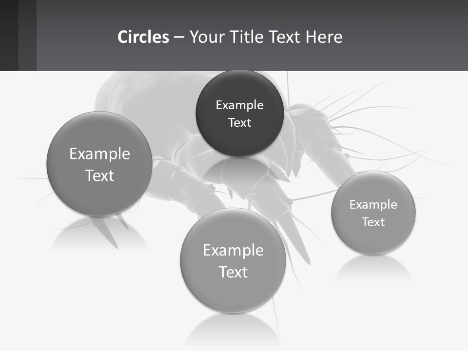 Mite Acarian Hygiene PowerPoint Template