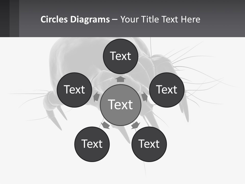 Mite Acarian Hygiene PowerPoint Template