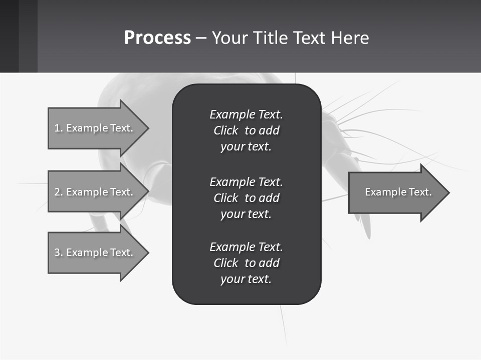 Mite Acarian Hygiene PowerPoint Template