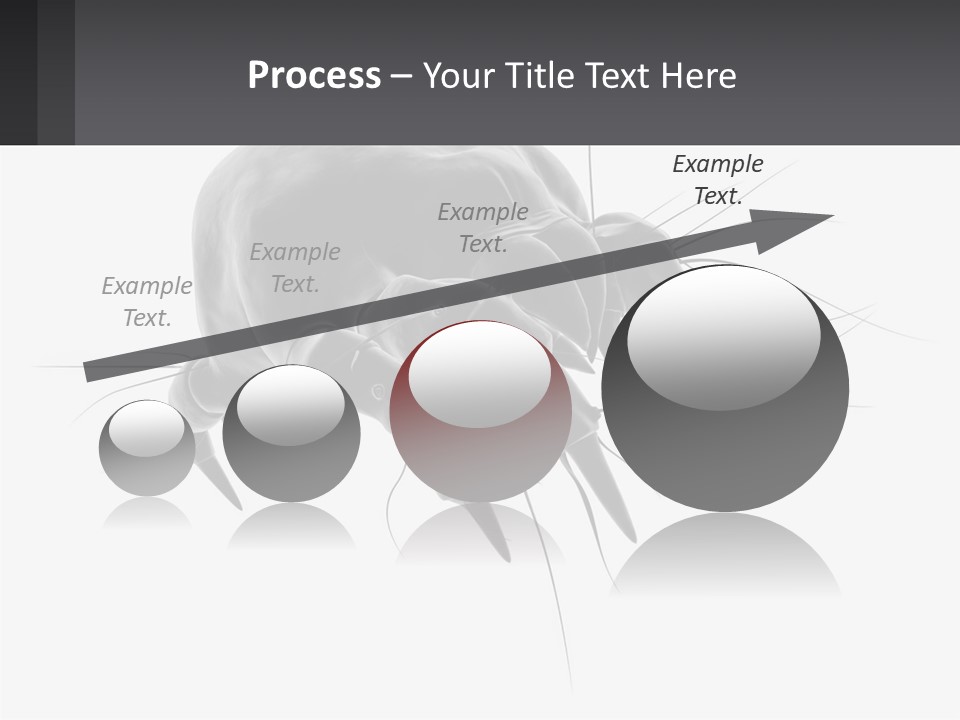 Mite Acarian Hygiene PowerPoint Template