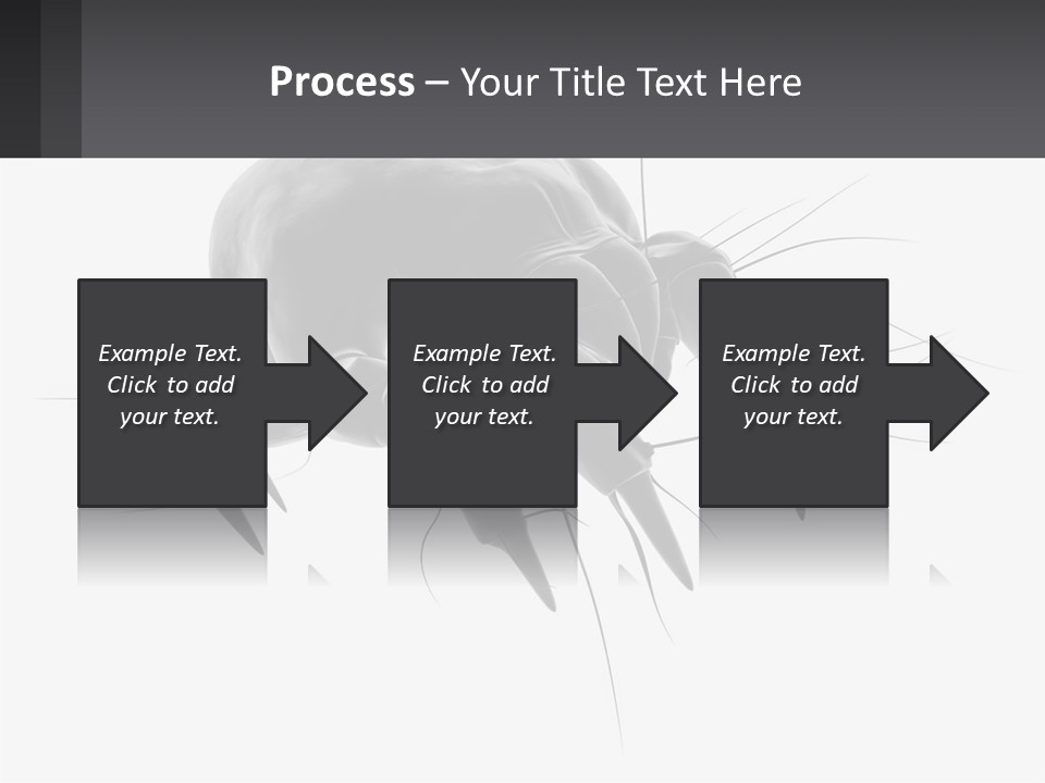 Mite Acarian Hygiene PowerPoint Template