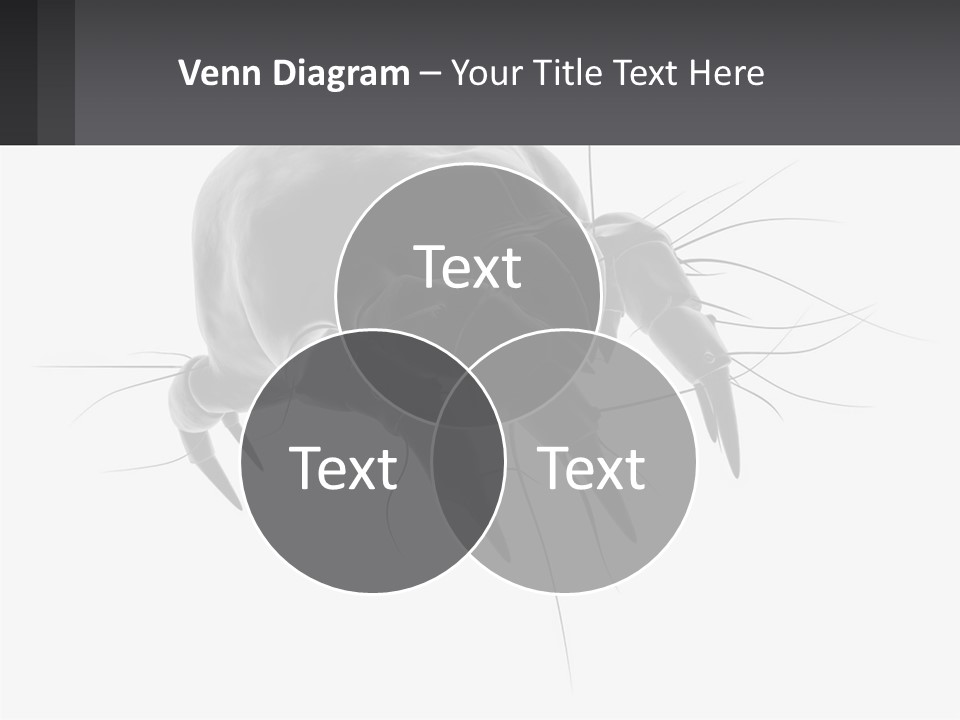 Mite Acarian Hygiene PowerPoint Template