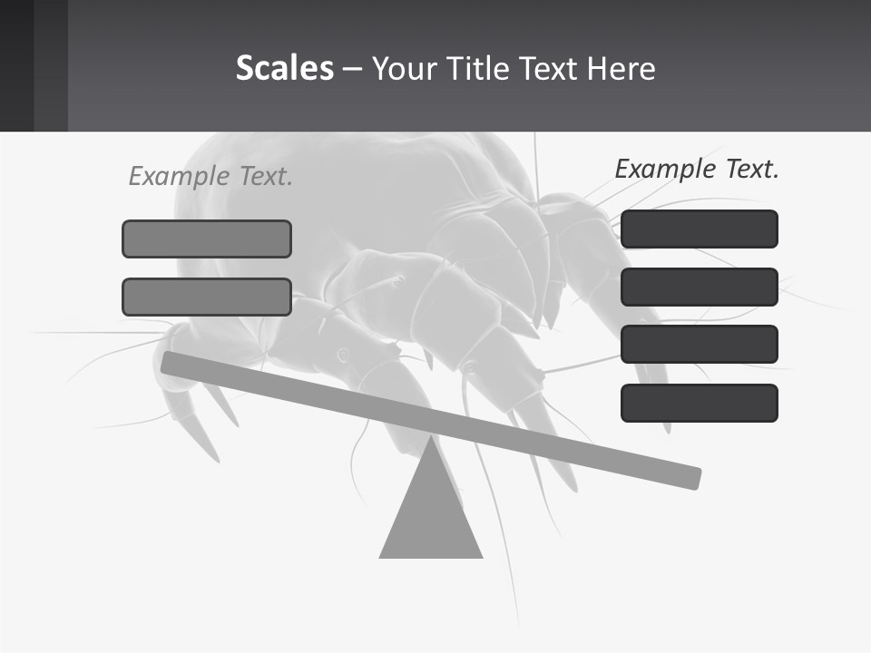 Mite Acarian Hygiene PowerPoint Template