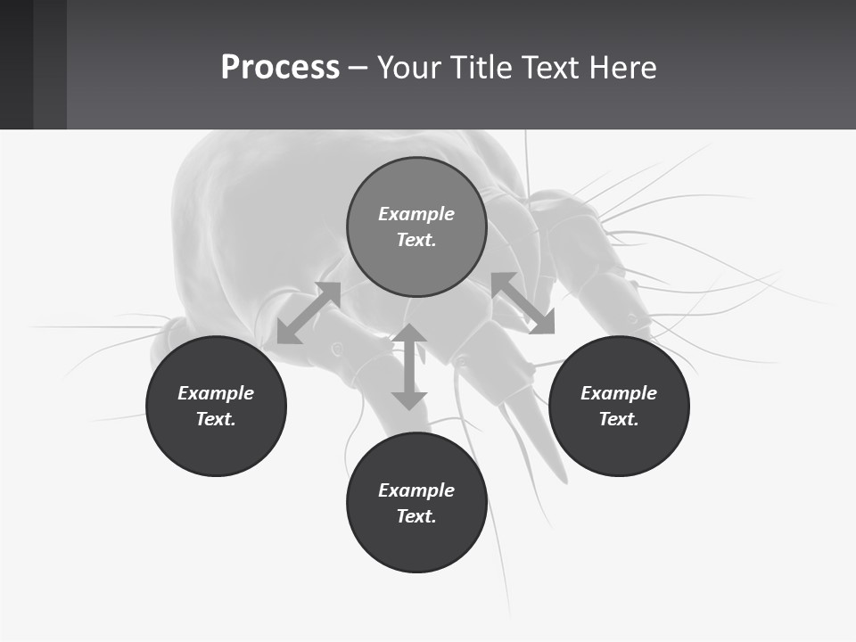 Mite Acarian Hygiene PowerPoint Template