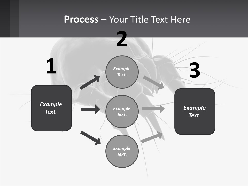 Mite Acarian Hygiene PowerPoint Template