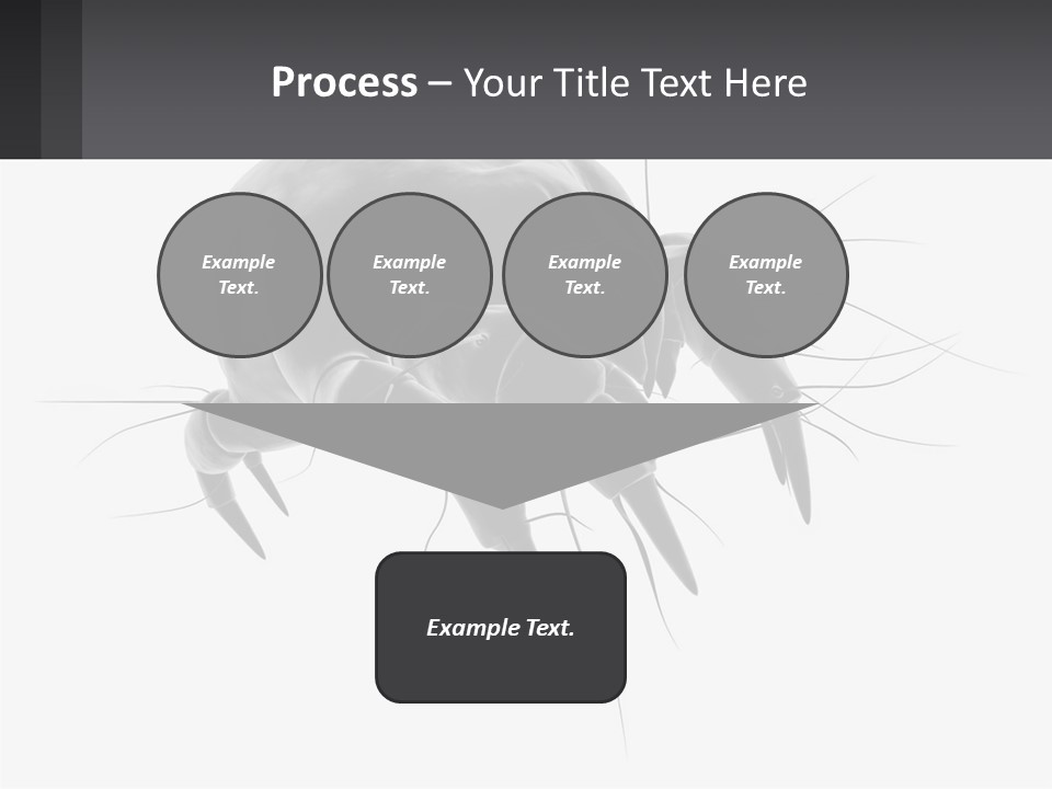 Mite Acarian Hygiene PowerPoint Template