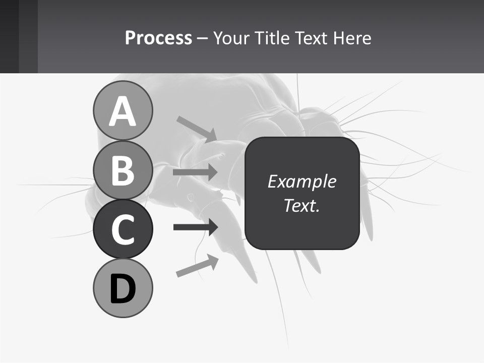 Mite Acarian Hygiene PowerPoint Template