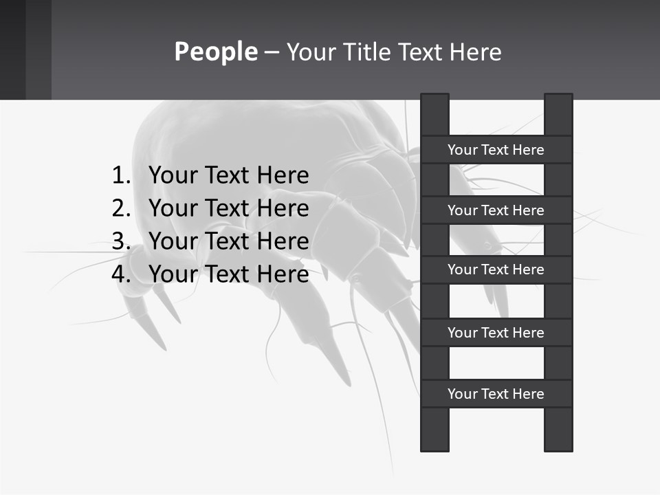 Mite Acarian Hygiene PowerPoint Template