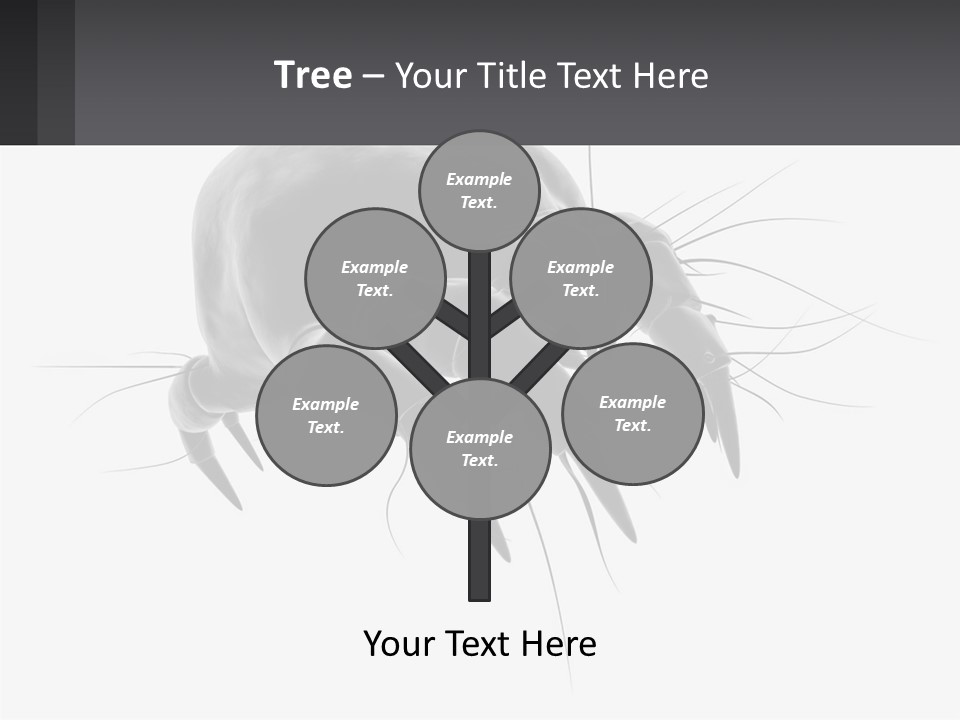 Mite Acarian Hygiene PowerPoint Template