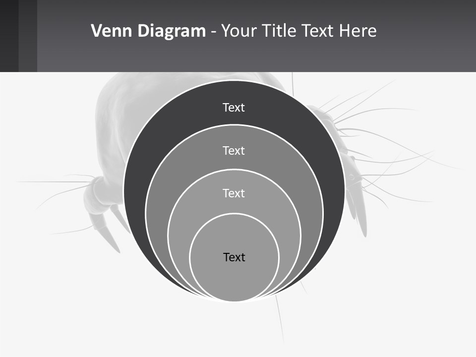 Mite Acarian Hygiene PowerPoint Template