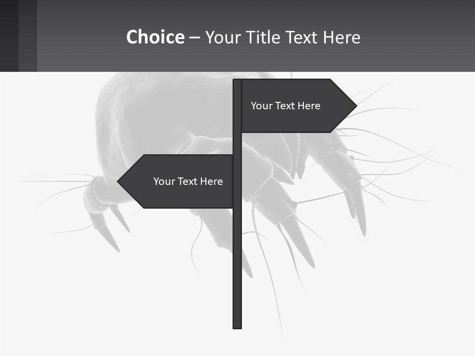 Mite Acarian Hygiene PowerPoint Template