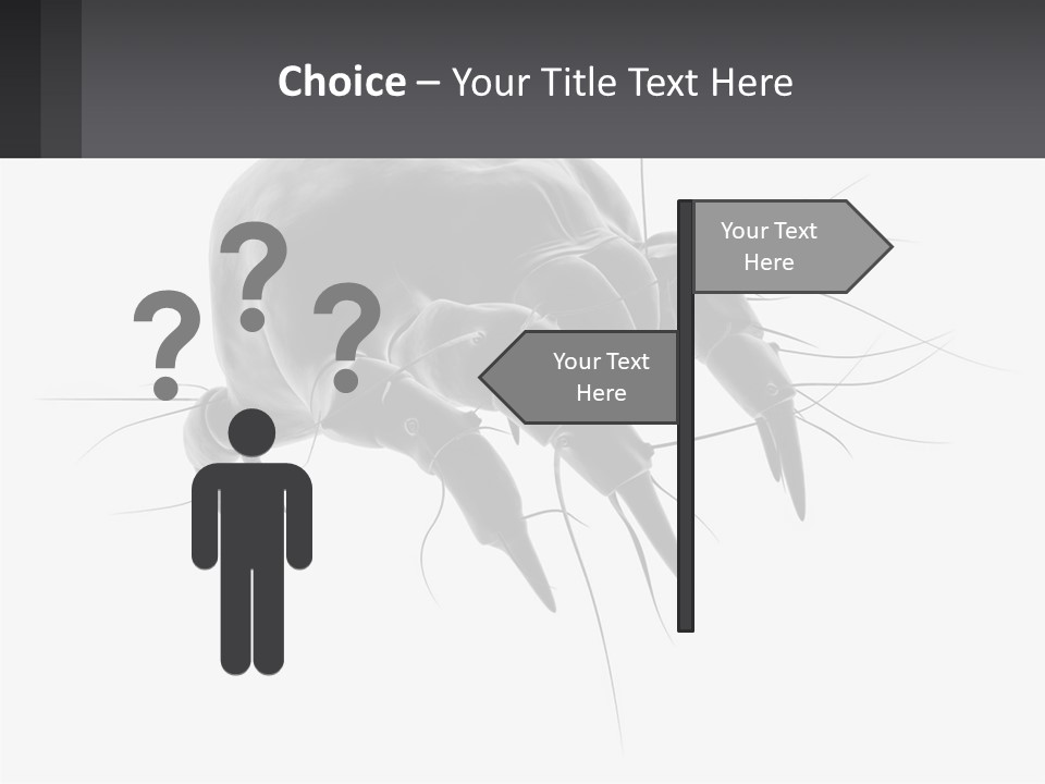 Mite Acarian Hygiene PowerPoint Template