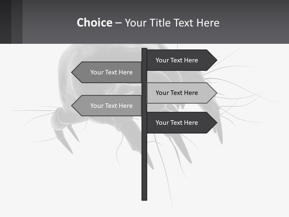 Mite Acarian Hygiene PowerPoint Template