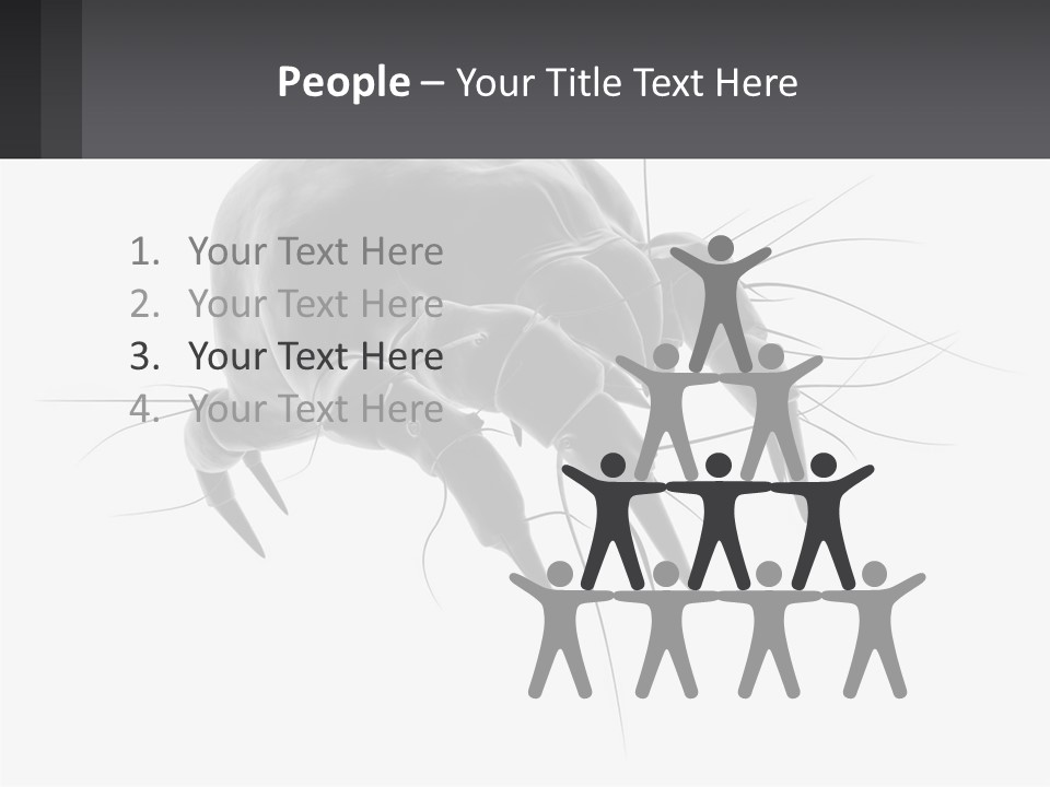 Mite Acarian Hygiene PowerPoint Template
