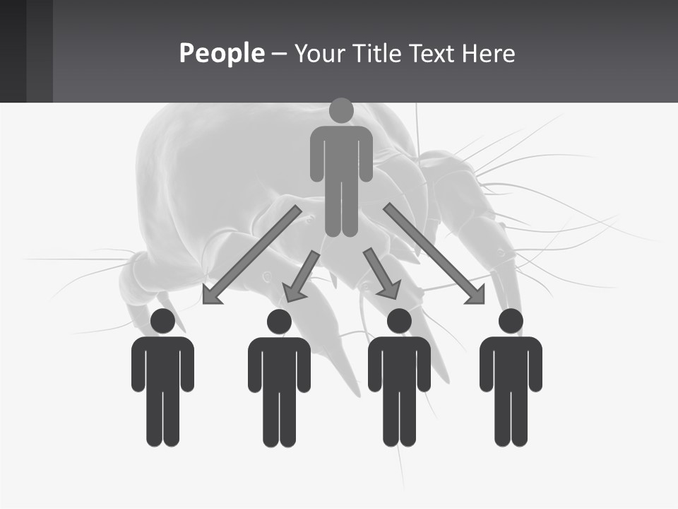 Mite Acarian Hygiene PowerPoint Template