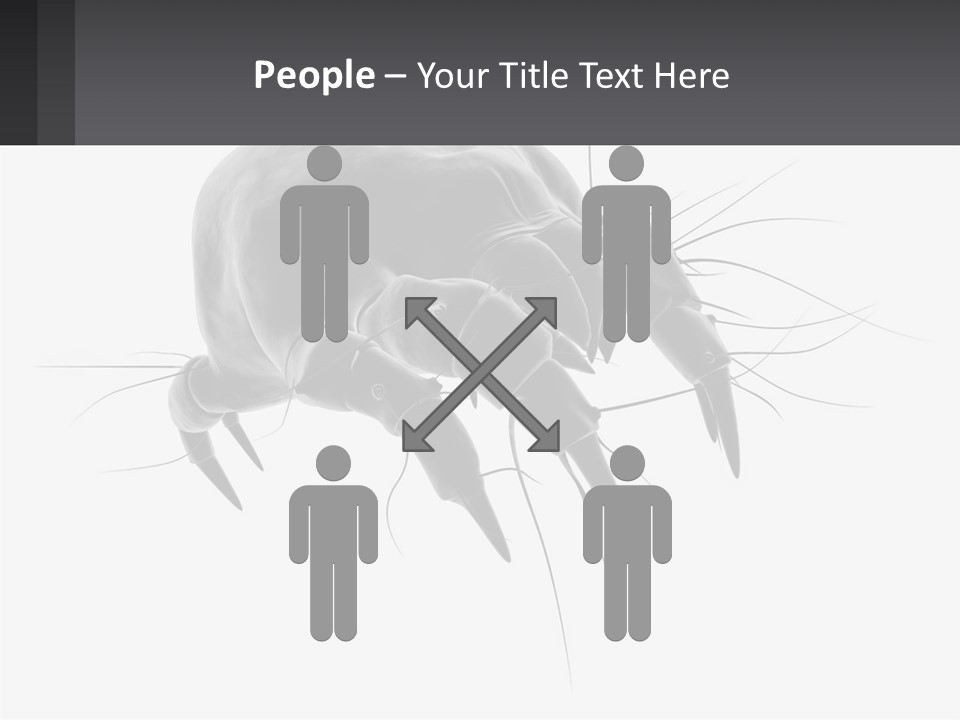 Mite Acarian Hygiene PowerPoint Template