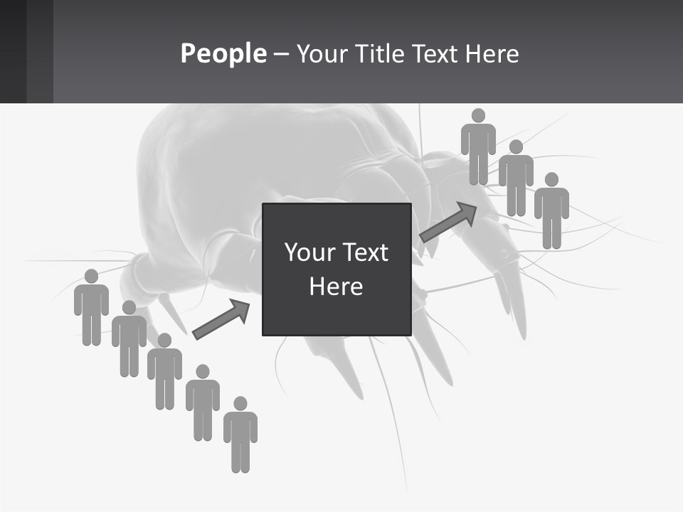 Mite Acarian Hygiene PowerPoint Template