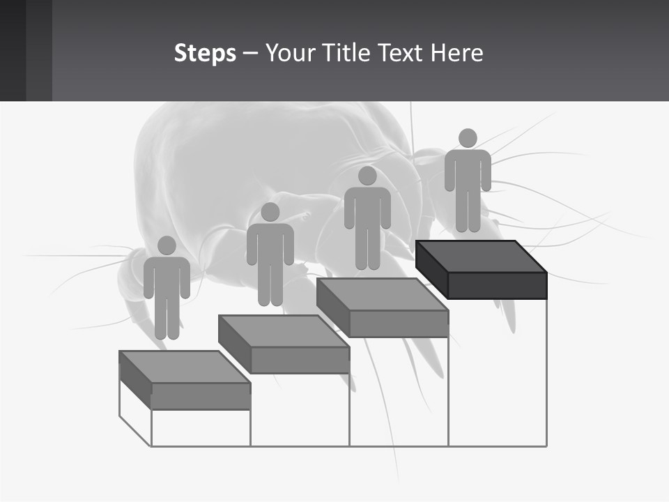 Mite Acarian Hygiene PowerPoint Template