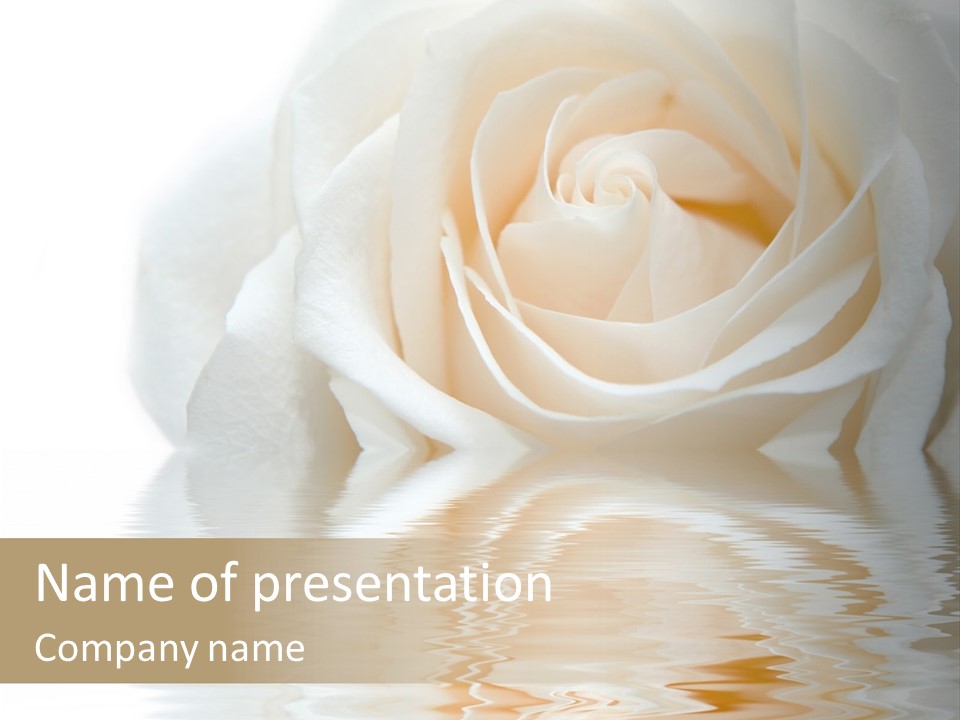 Aroma Romantic Floral PowerPoint Template