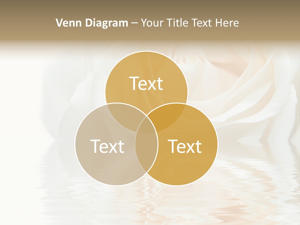 Aroma Romantic Floral PowerPoint Template