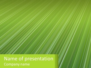 A Green Abstract Background With Lines PowerPoint Template