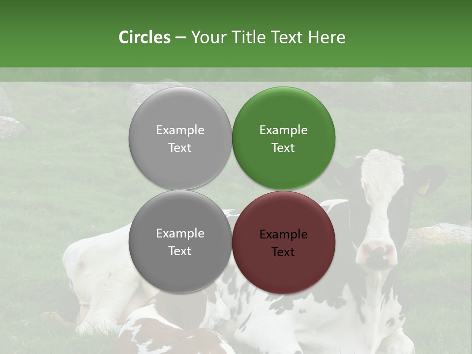 Dairy Agriculture Cute PowerPoint Template