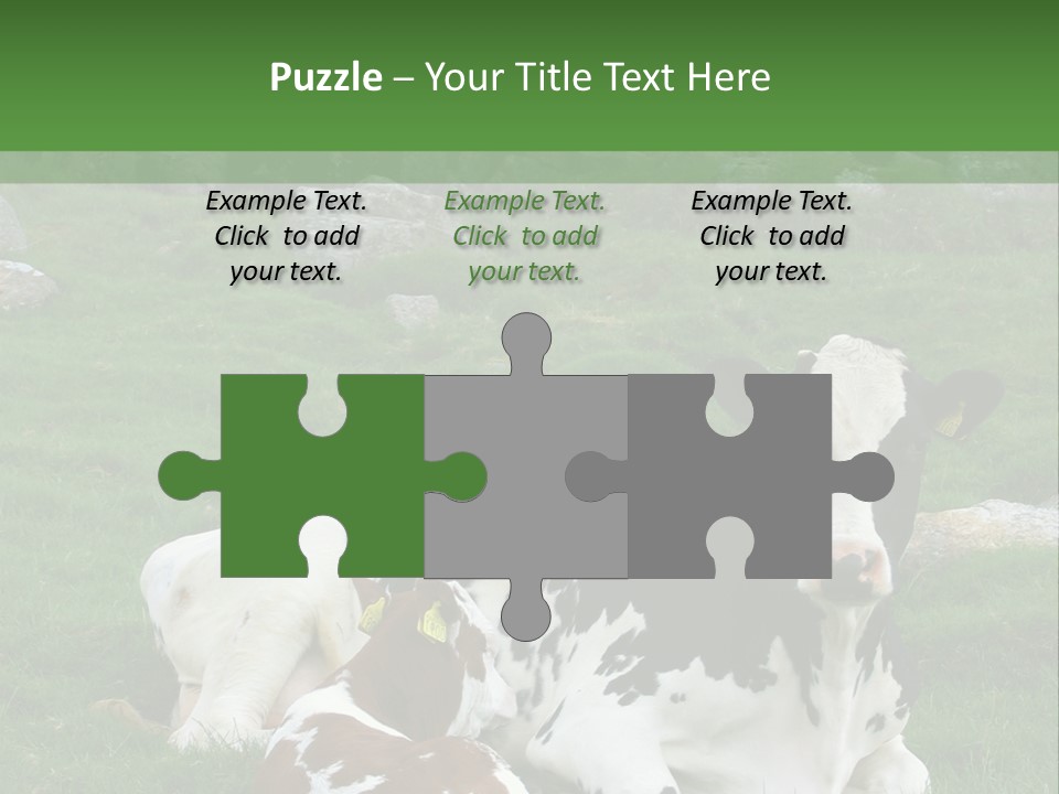 Dairy Agriculture Cute PowerPoint Template